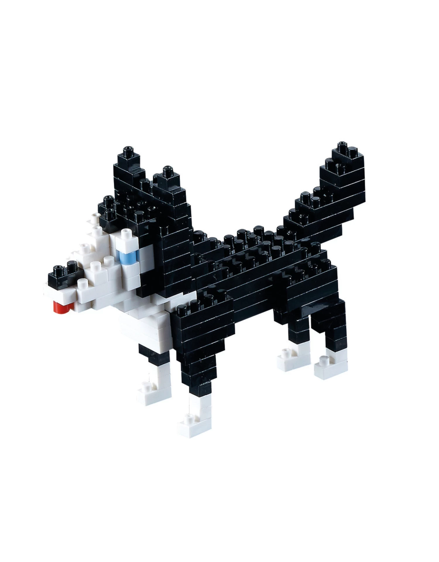 Brixies Husky 1 Brixies Husky