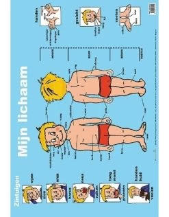 Mijn Lichaam - Educatieve Poster