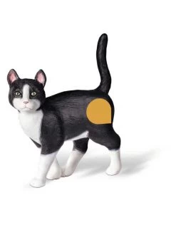 Ravensburger Kat - Tiptoi
