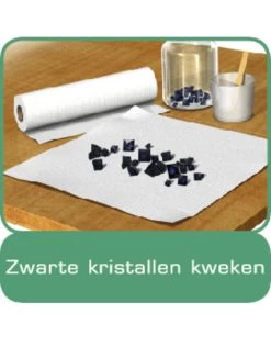 Ravensburger Rav Kristallen Kweken