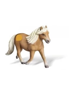 Tiptoi Falabella Merrie